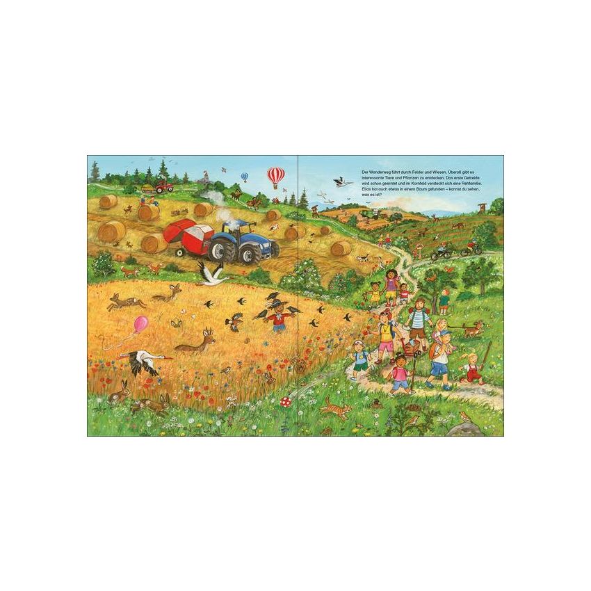 Loewe Verlag - Wimmelbuch Viel los in der Natur