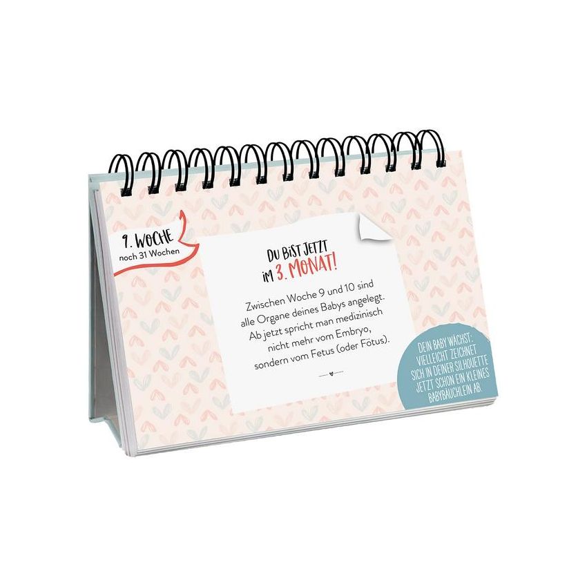 Groh - Stellkalender Mein Schwangerschafts-Countdown Woche für Woche