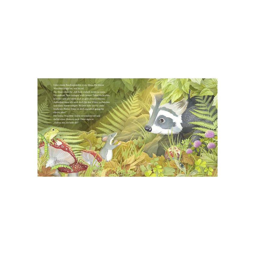 bene! Verlag - Der kleine Waschbär findet neue Freunde