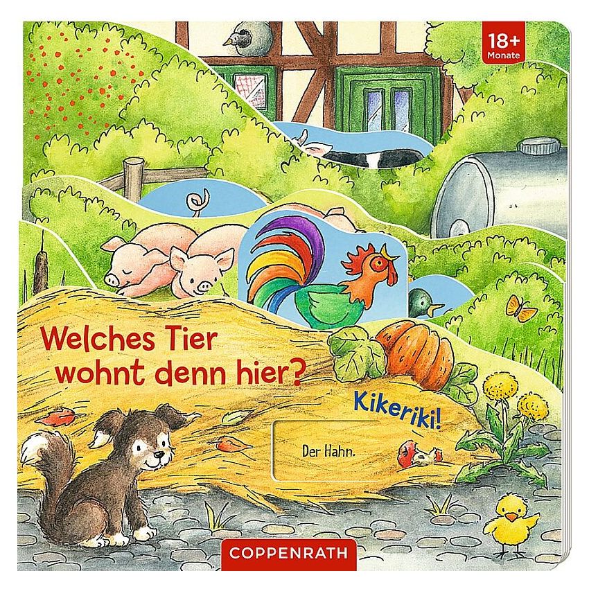 Coppenrath - Welches Tier wohnt denn hier? (Bauernhof)