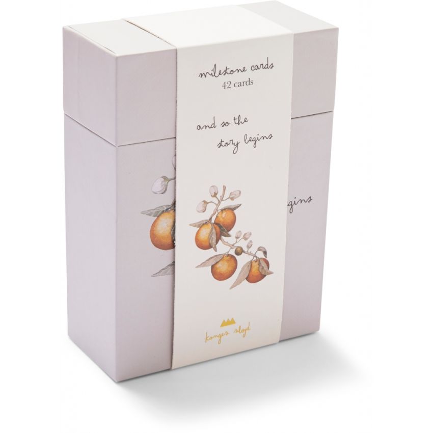 Konges Sløjd - Meilensteinkarten