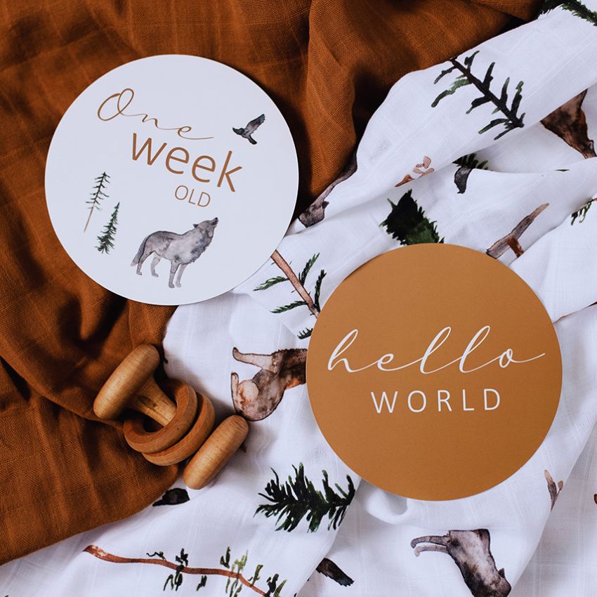 Snuggle Hunny - Meilenstein Karten Alpha & Bronze