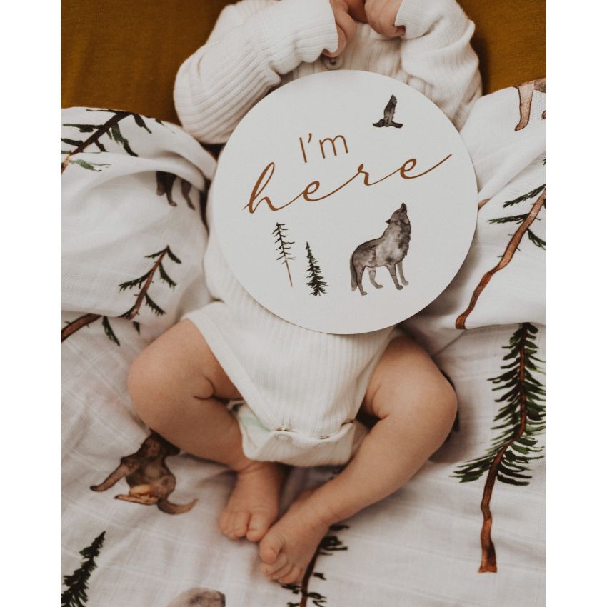 Snuggle Hunny - Meilenstein Karten Alpha & Bronze