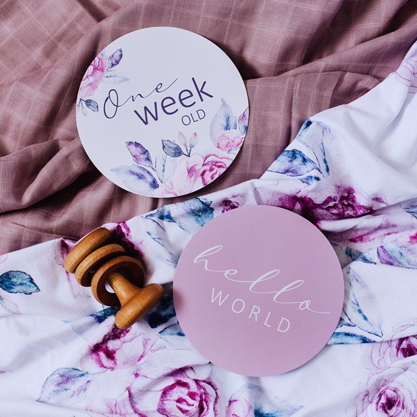 Snuggle Hunny - Meilenstein Karten Lilac Skies & Butterfly Pink