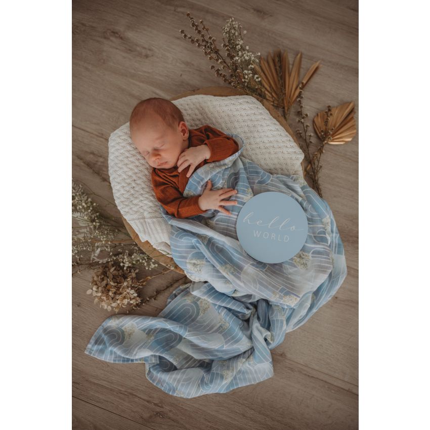 Snuggle Hunny - Meilenstein Karten Eventide & Ice Blue