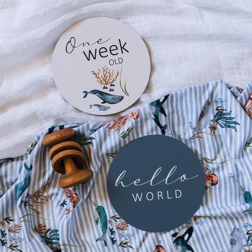 Snuggle Hunny - Meilenstein Karten Wale & Azure