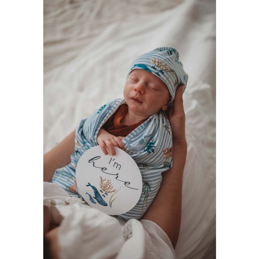 Snuggle Hunny - Meilenstein Karten Wale & Azure