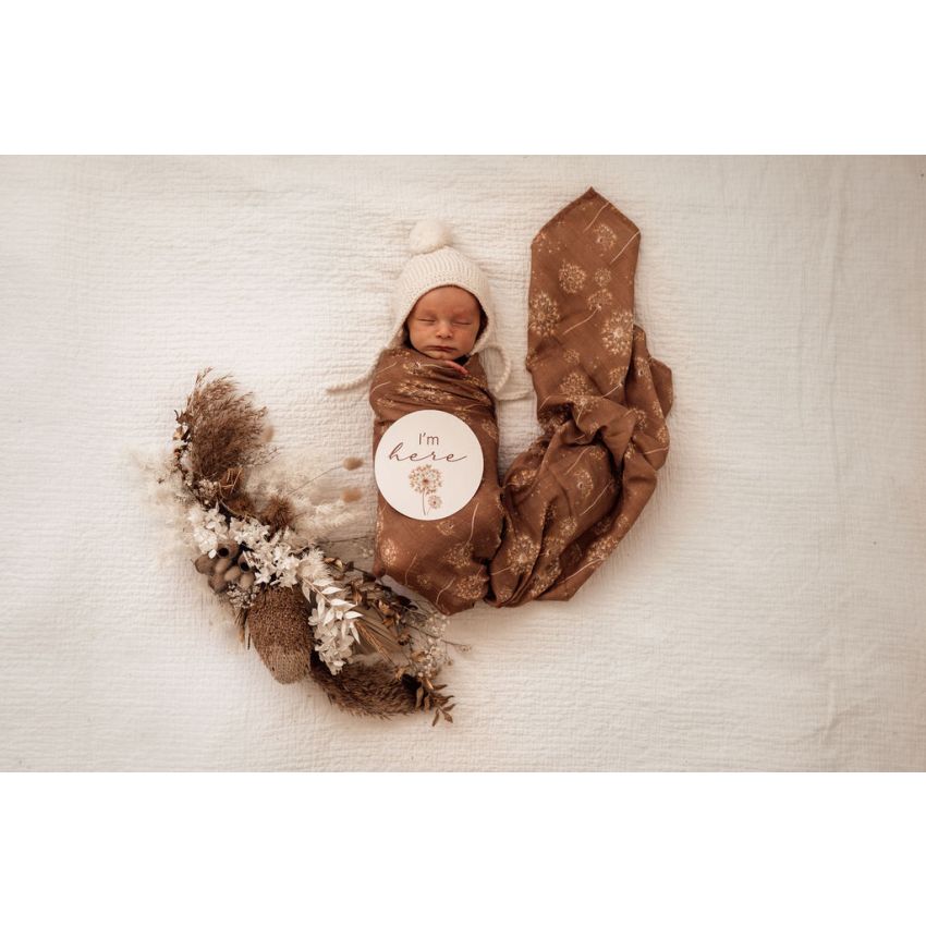 Snuggle Hunny - Meilenstein Karten Dandelion & Hazelnut