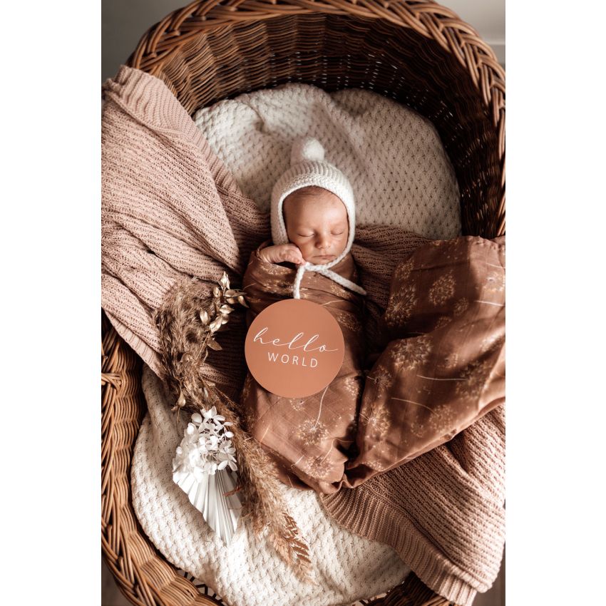 Snuggle Hunny - Meilenstein Karten Dandelion & Hazelnut