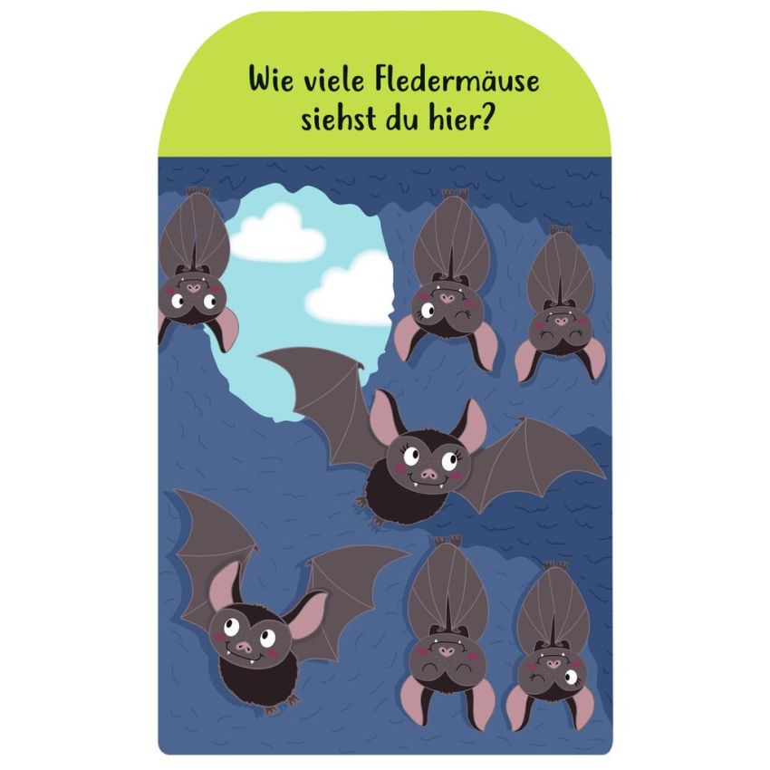 Moses Verlag - Zählen lernen mit den Krabbelkäfern - Magnetischer Lernspaß