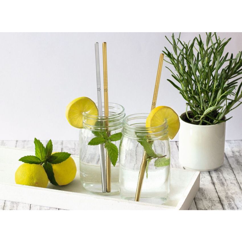 Moses Verlag - Edelstahl Trinkhalm