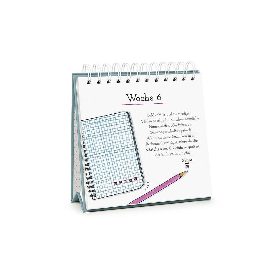 Pattloch Verlag - Baby Loading - Der etwas andere Wochenkalender für die Schwangerschaft