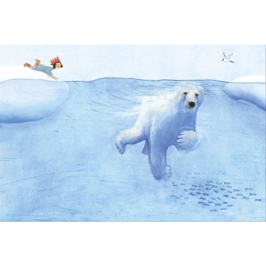 Aladin Verlag - Der Eisbär