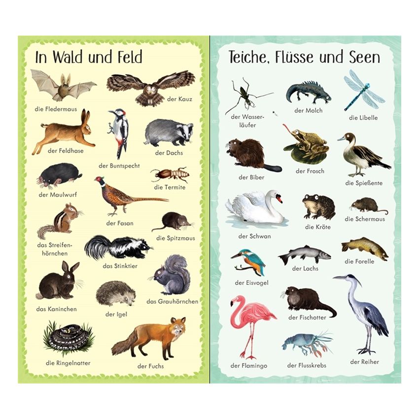 Usborne Verlag - 199 Tiere