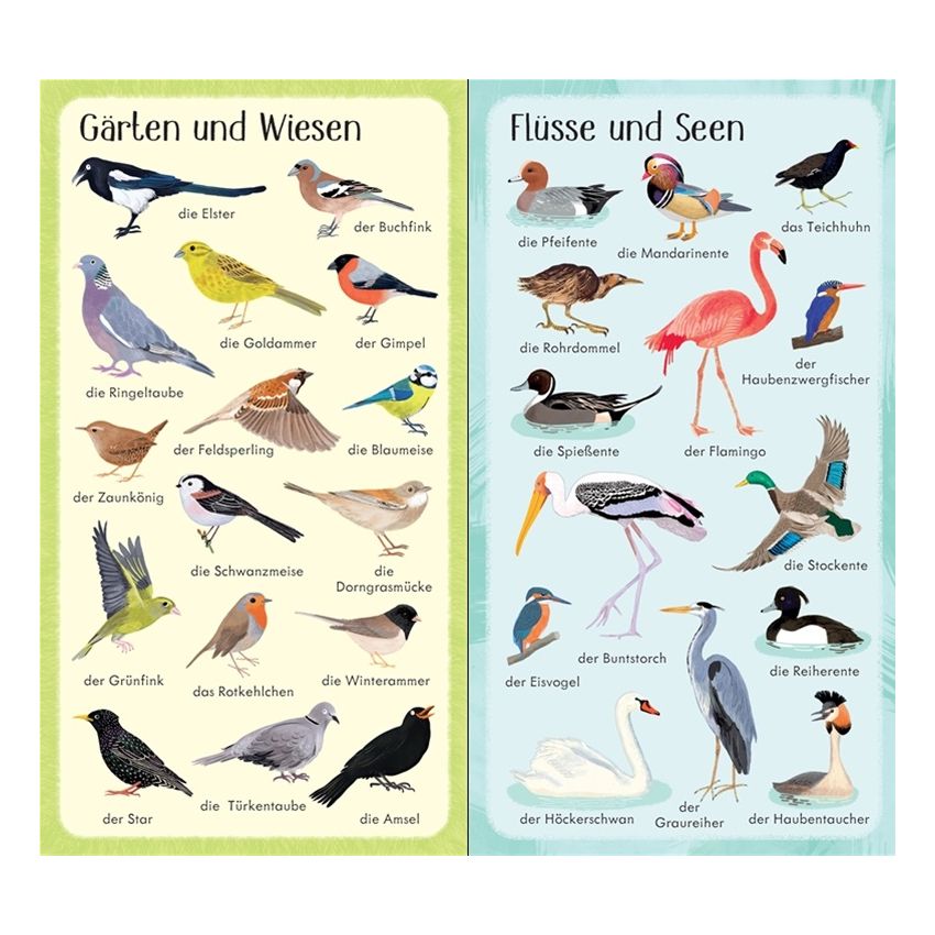 Usborne Verlag - 199 Vögel