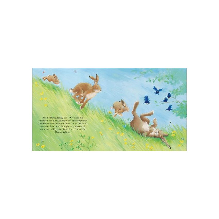 Loewe Verlag - Der glücklichste Hase der Welt