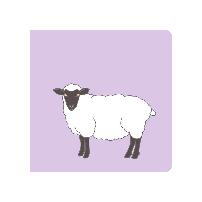 Vicky Bo Verlag - Baby-Bilderbuch ab 6 Monate