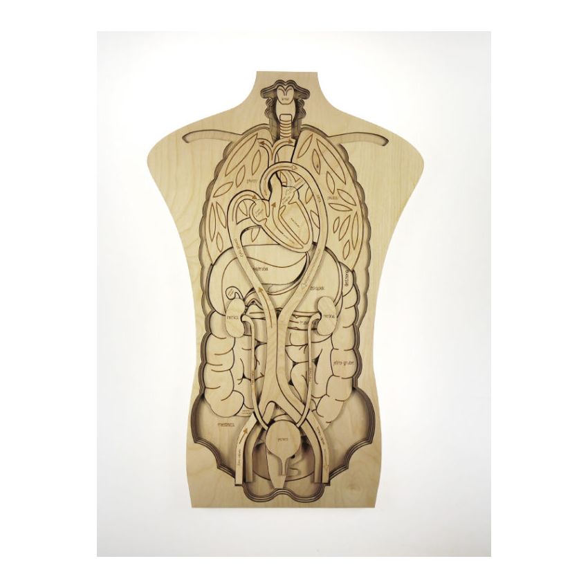 Stuka Puka - Holz Anatomie Puzzle 