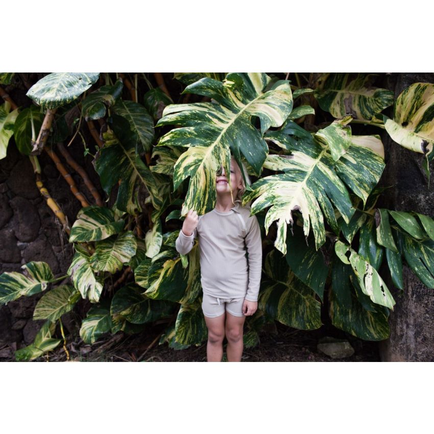 Beach & Bandits - UV Badeshirt Ribbed Sand