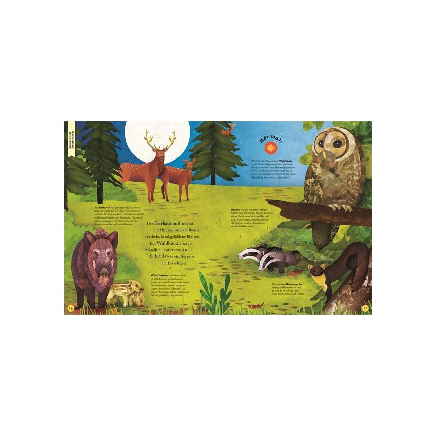 Dorling Kindersley - Der Klang der Tiere. In den Lüften - Soundbuch