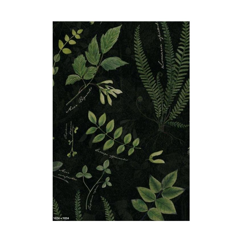 Makaszka - Picknickdecke Herbarium