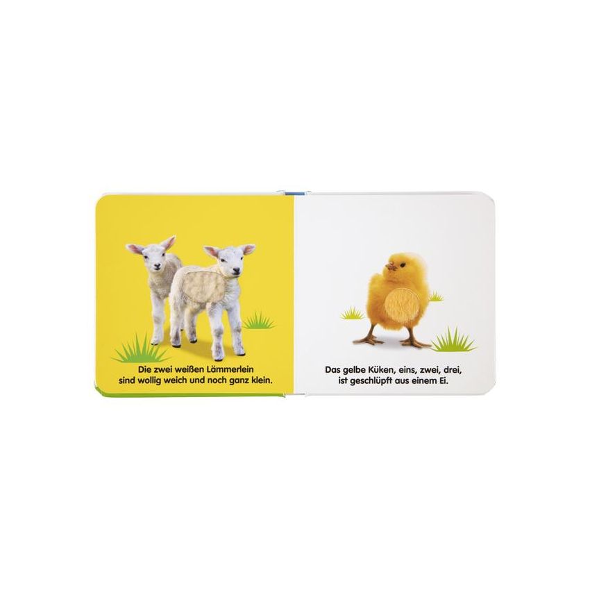 Dorling Kindersley - Mein Fühlbilderbuch. Tierkinder