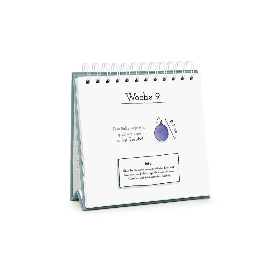 Pattloch Verlag - Baby Loading - Der etwas andere Wochenkalender für die Schwangerschaft