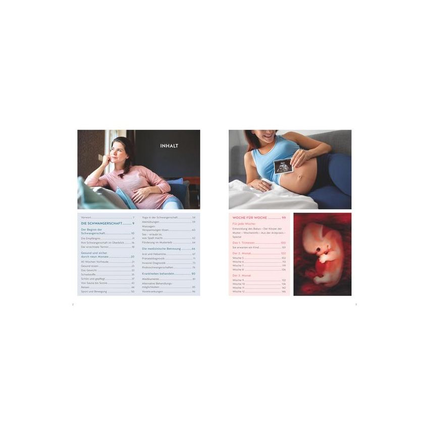 Gräfe und Unzer Verlag - Das große Buch zur Schwangerschaft