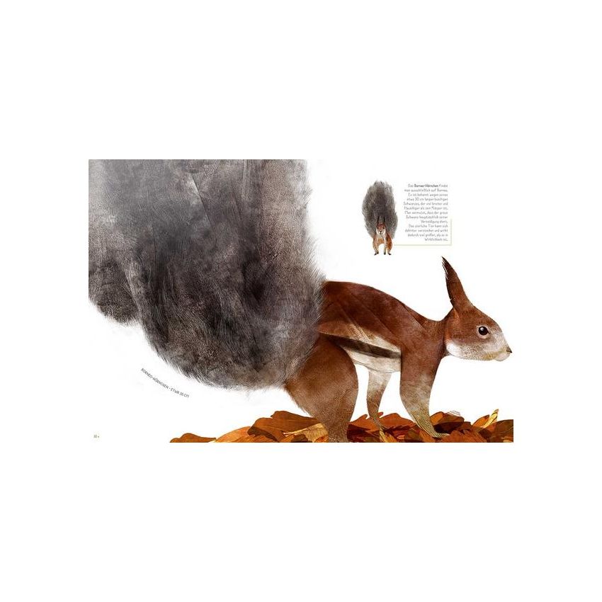 WSKids - 100% Tiere in Lebensgrösse