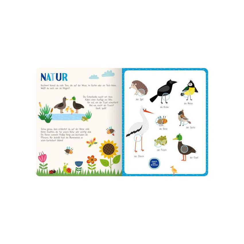 arsEdition - Mein kunterbuntes Soundbuch - Tiere