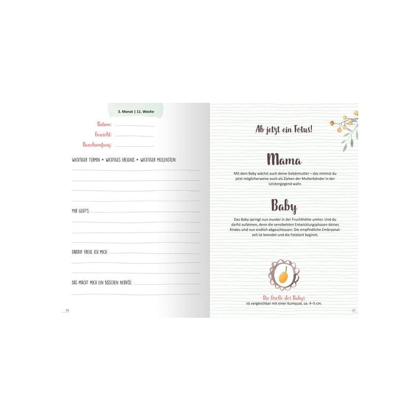 arsEdition - 9 Monate Mein Schwangeschaftstagebuch