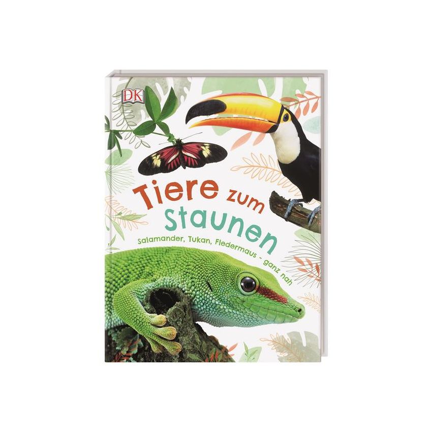 Dorling Kindersley - Tiere zum Staunen Salamander, Tukan, Fledermaus - ganz nah