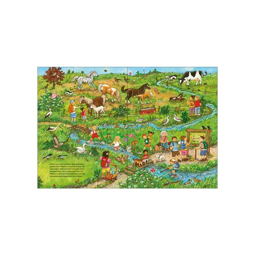 Loewe Verlag - Wimmelbuch Viel los in der Natur