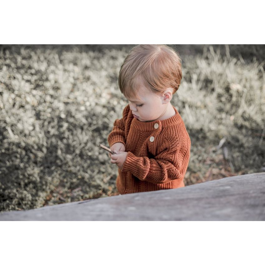 Two Darlings - Rust Pullover