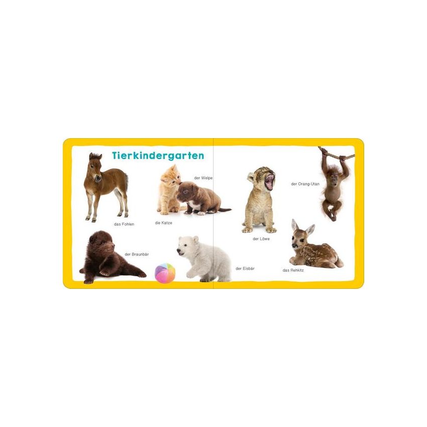 arsEdition - Meine ersten 100 Tiere