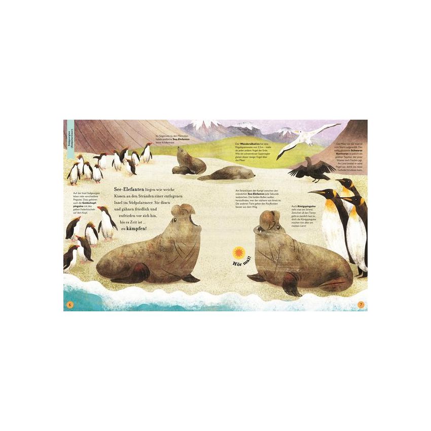 Dorling Kindersley - Der Klang der Tiere. In der Wildnis - Soundbuch