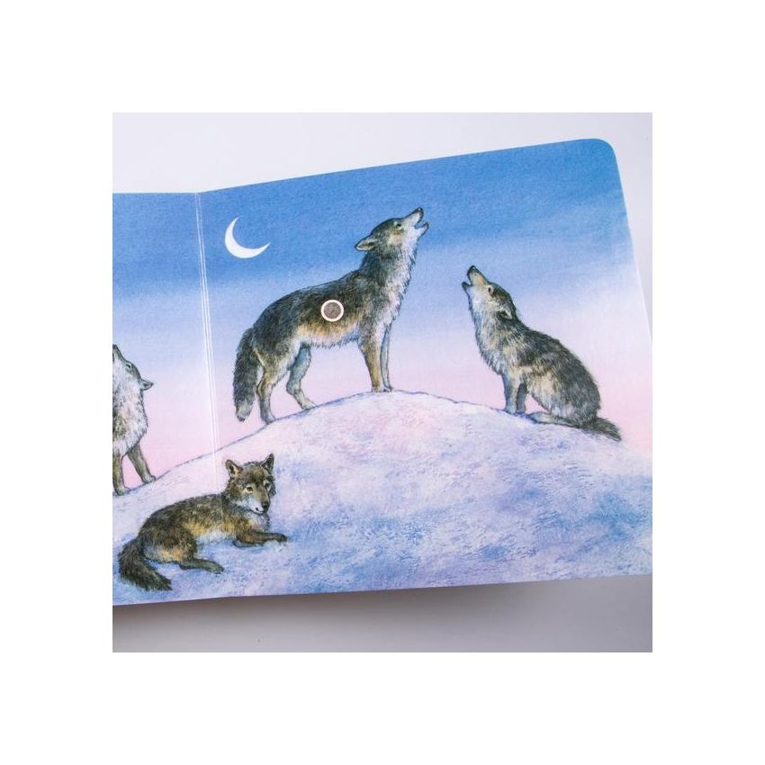 Carlsen Verlag - Hör mal - Wilde Tiere