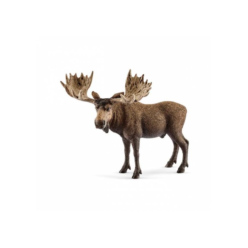 Schleich 14781 Wild Life - Elch Bulle