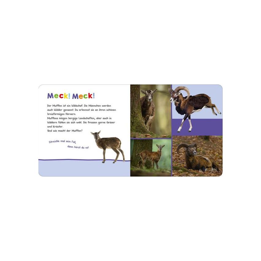 arsEdition - Hör mal rein, wer kann das sein? Im Wildpark