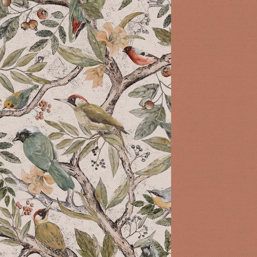 Makaszka - Babynest PREMIUM Ornithology