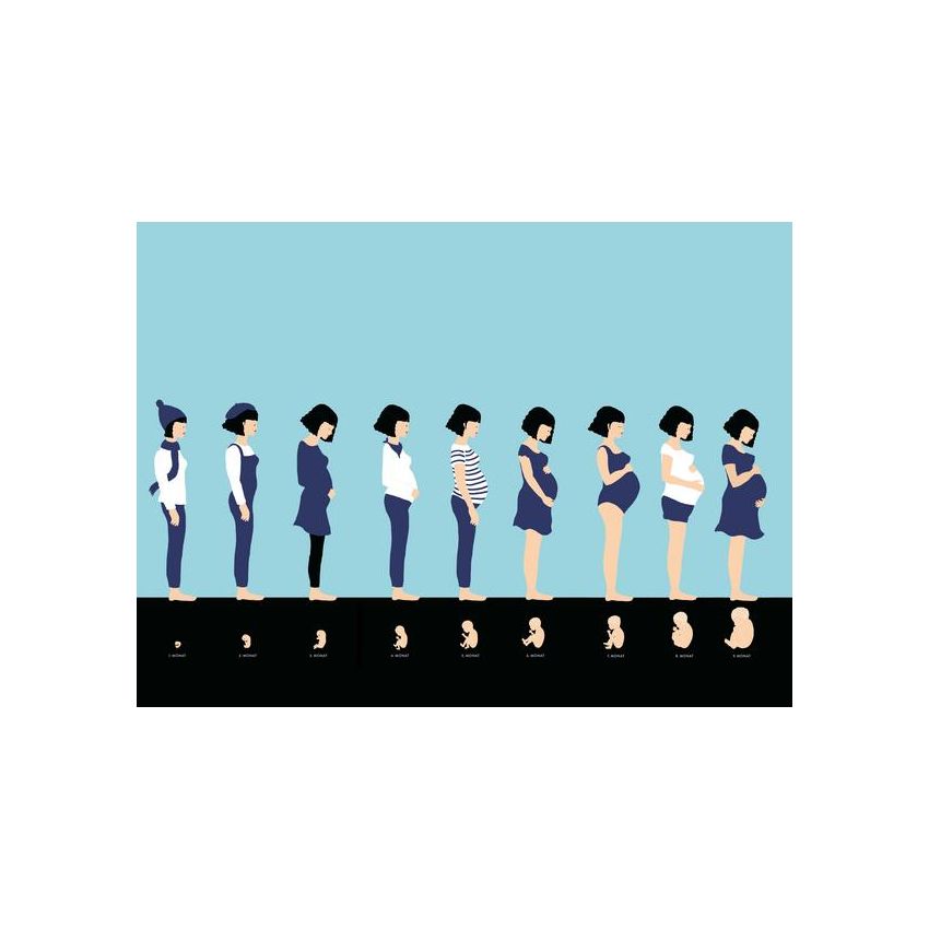 Gerstenberg Verlag - Ein neues Leben entsteht