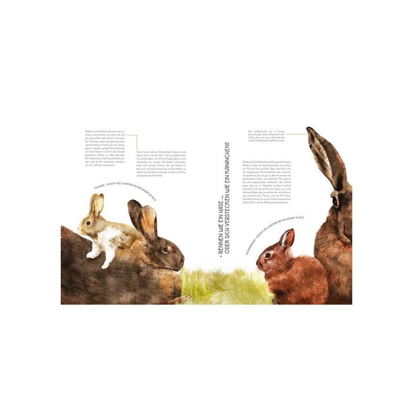 WSKids - 100% Tierbabys in Lebensgrösse