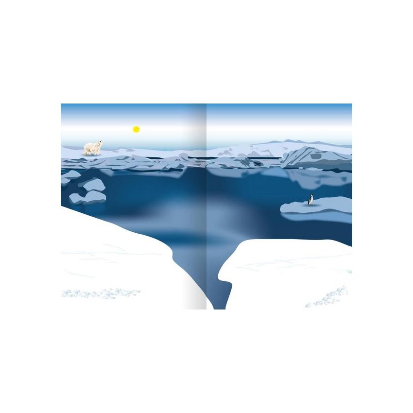 arsEdition - Mein Fühl-Stickerheft - Wilde Tiere - Mit Fellstickern