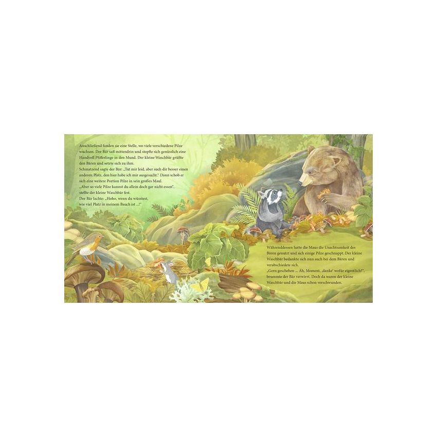 bene! Verlag - Der kleine Waschbär findet neue Freunde