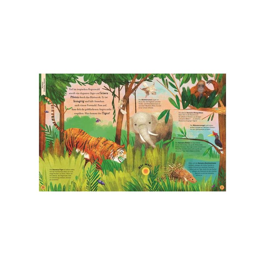 Dorling Kindersley - Der Klang der Tiere. In der Wildnis - Soundbuch