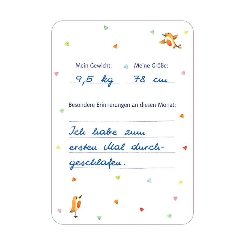 Coppenrath - Glücksmomente - Babys erstes Jahr Meilensteinkarten