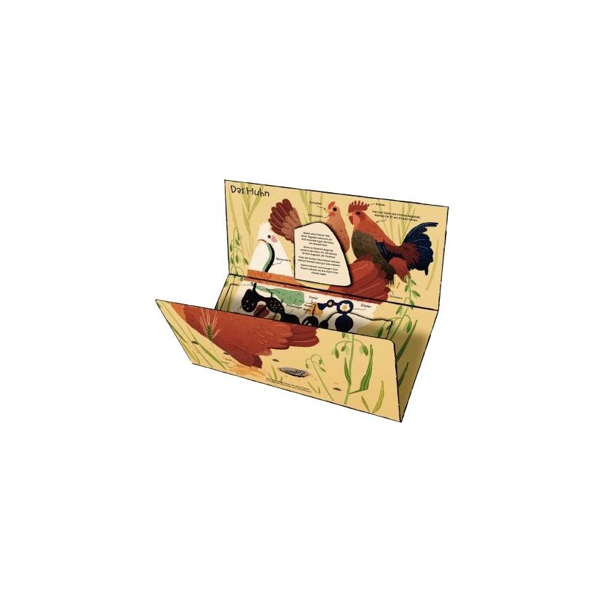 Gerstenberg Verlag - Drüber & drunter - Tiere