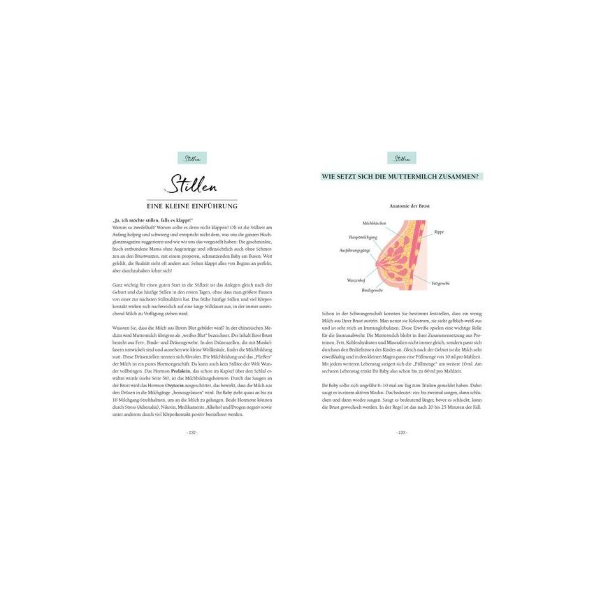 EMF Verlag - Ich werde Mama! Der perfekte Schwangerschaftsbegleiter