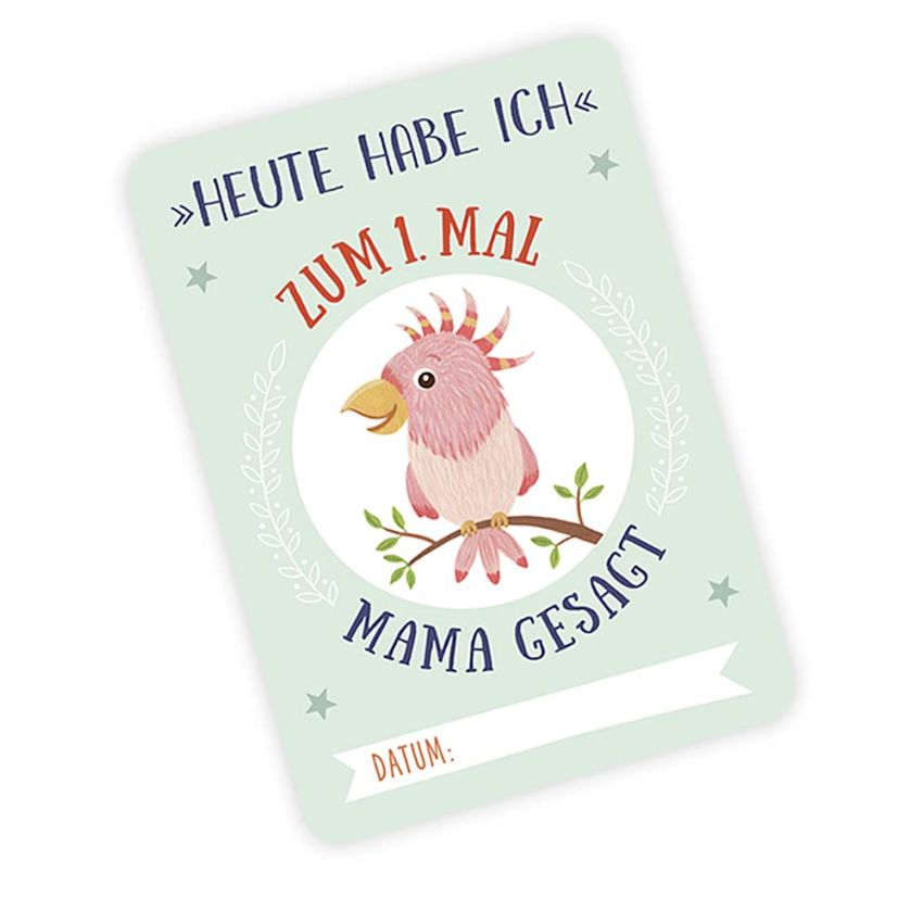 Pattloch Verlag - Deine Meilensteine - 25 Glücksmomente mit unserem Baby