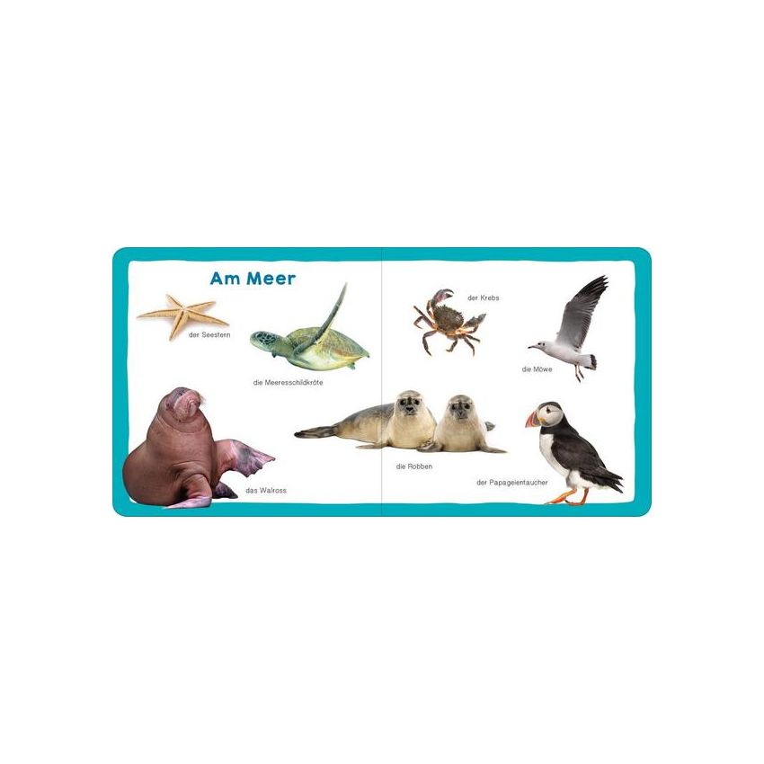 arsEdition - Meine ersten 100 Tiere